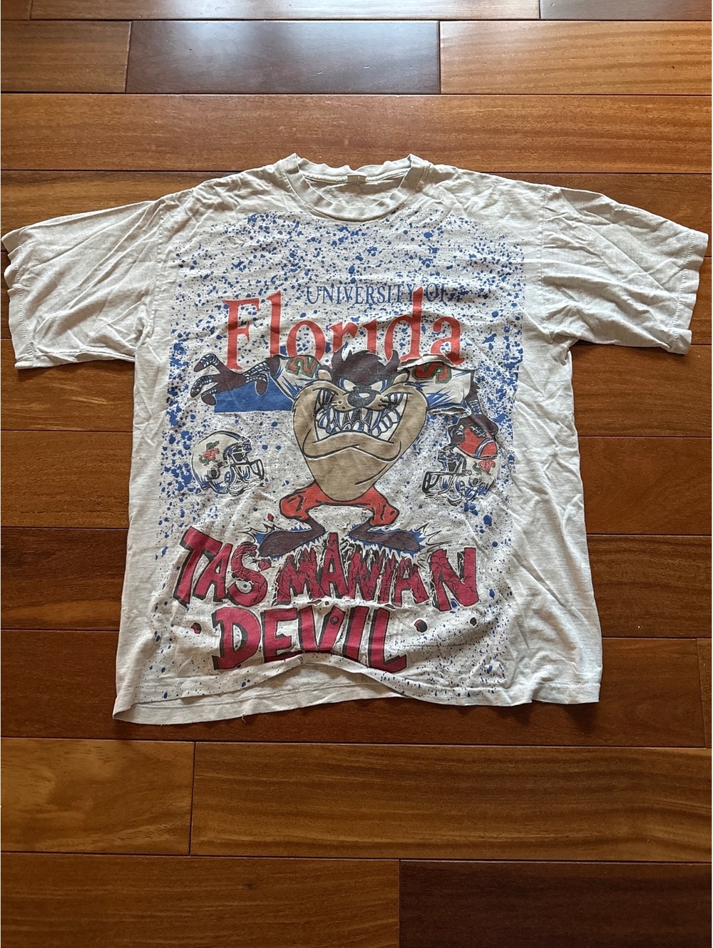 Vintage Taz Tee x University of Florida